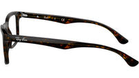 RB5279 Optics 2012