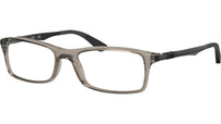 RB7017 Optics 8059