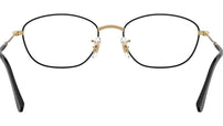 RB3749V Optics 3175