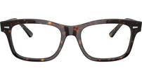 Mr Burbank Optics RB5383 2012