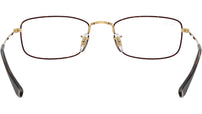 RB6647 Optics 3177