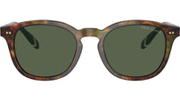 PH4206 50179A Brown Tortoise