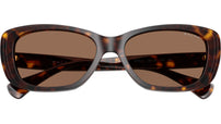 RA5322U 500313 Dark Havana