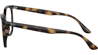 RB4378V Optics 2012