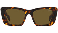 PR 08YS VAU01T honey tortoise