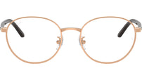 RB6538D Optics 3094