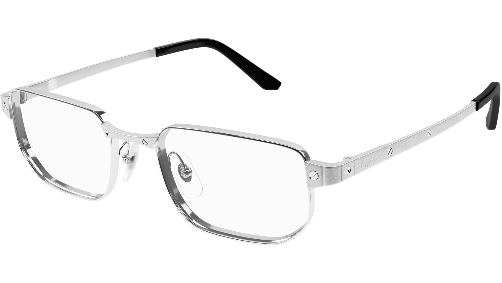 CT0481O 002 Shiny Silver