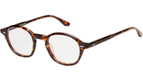 French Exit Tortoise