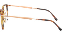 RB4451V Optics 5687