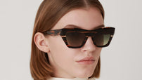 Carlota 6773 2 Tortoise