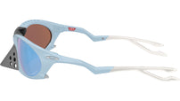 Plantaris OO9437 04