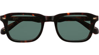 SEGNO Classic Havana