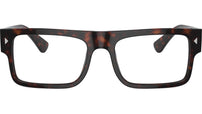 PR A01V 17N1O1 Tortoise