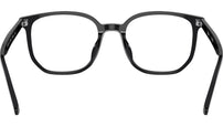RB5411D Optics 2000