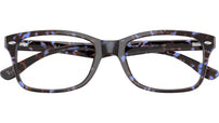 RB5228 Optics 8424