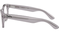 RB5510 Optics 2102