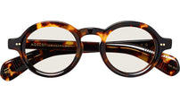Foygel Classic Havana