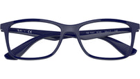 RB7047 Optics 8100
