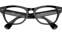 Laramie Optics RB2201V 2000