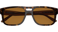 EA4197 587983 Tortoise