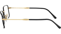 RB3746V Optics 3175