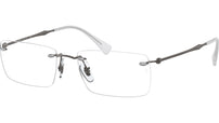 RB8755 Optics 1000