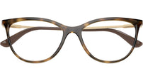 VO5239 W656 tortoise