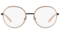 2025 003 tortoise