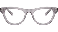 RB5510 Optics 2102
