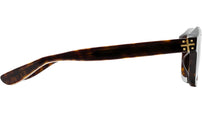 Ray Havana