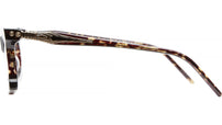 D73 TTO Tortoise