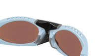 Plantaris OO9437 04