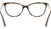 VO5239 W656 tortoise
