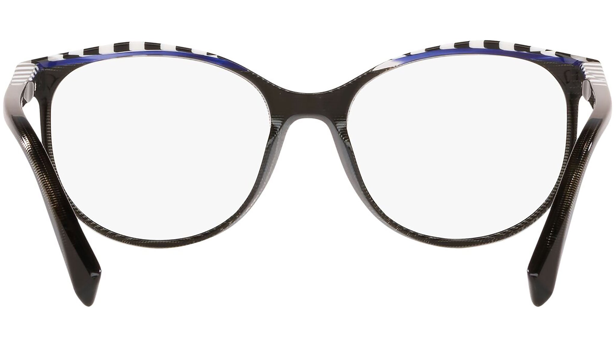3069 011 tortoise