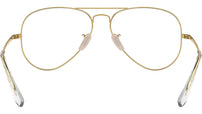 Aviator Optics RB6489 2890