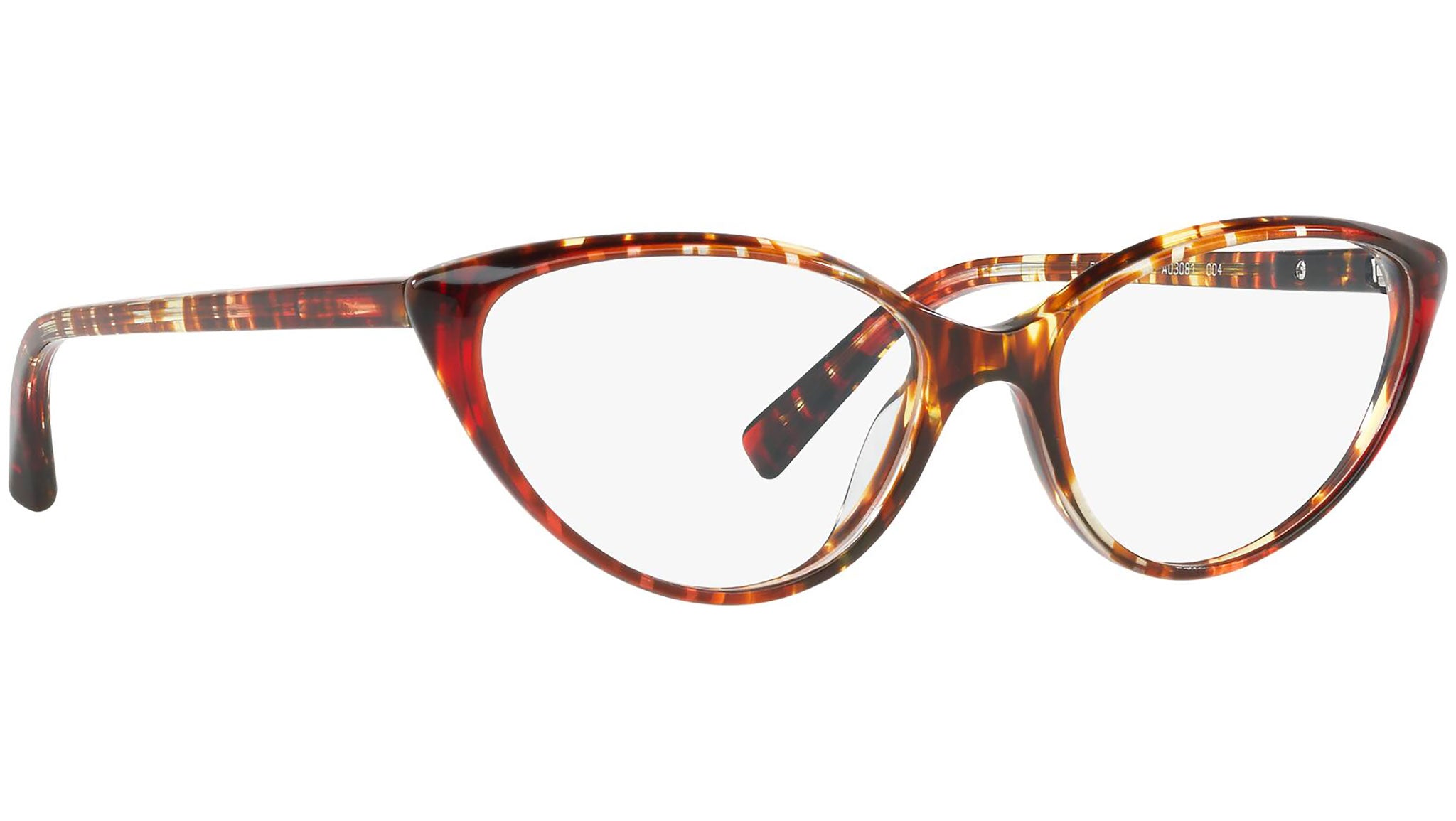 3081 004 tortoise