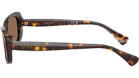RA5322U 500313 Dark Havana