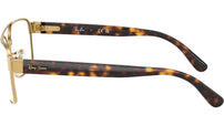 RB3751V Optics 2500