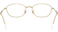 RB3749V Optics 2500