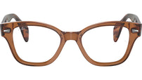 RB0880 Optics 8180