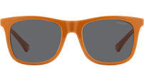 PLD 8055/CS L9G M9