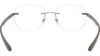 RB8766 Optics 1131
