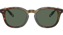 PH4206 501771 Brown Tortoise