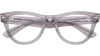 RB5510 Optics 2102