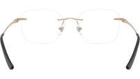 RB8783D Optics 1248
