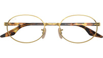 RB6481V Optics 2500