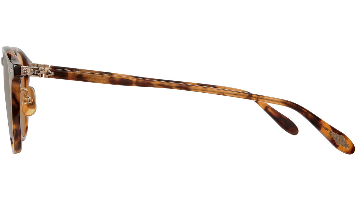 Hampton J Sun Autumn Tortoise