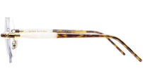 P57 GD TS Gold Tortoise