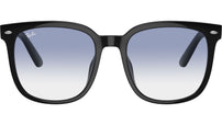 RB4401D 601/19 Black