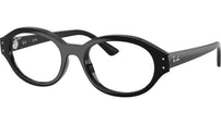 RB7257 Optics 8260